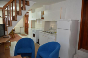 Vila Pašić, Bajina Bašta